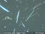 Amosite