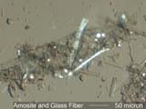 Amosite