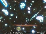 Amosite, Darkfield Dispersion Staining