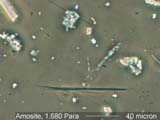 Amosite, Phase Contrast Dispersion Staining