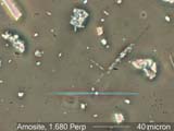 Amosite, Phase Contrast Dispersion Staining