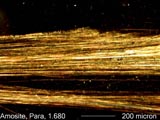 Amosite, Darkfield Dispersion Staining