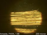 Amosite, Objective Central Stop Dispersion Staining
