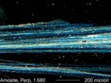 Amosite, Darkfield Dispersion Staining