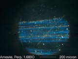 Amosite, Objective Central Stop Dispersion Staining