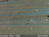 Amosite, Phase Contrast Dispersion Staining