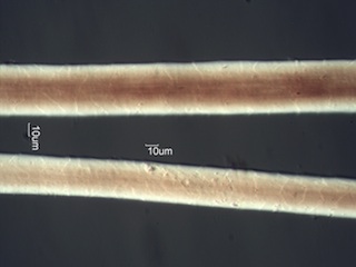 Mohair, Angora Goat Hair