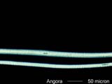 Angora Hair