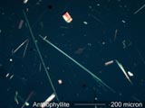 Anthophyllite