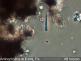 Anthophyllite