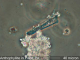 Anthophyllite