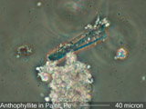 Anthophyllite
