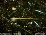 Anthophyllite