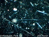 Anthophyllite