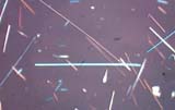 Anthophyllite