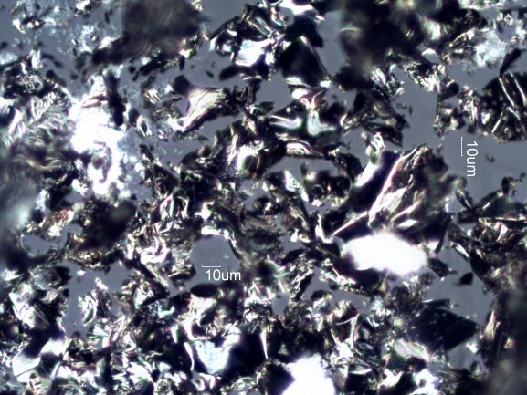Charred Bark