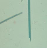 Arfvedisonite