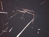 Actinolite