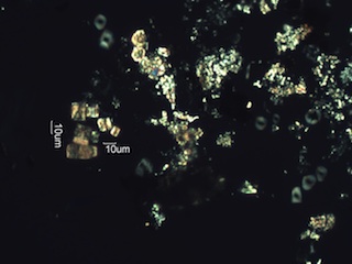Pyrolyzed Calcium Oxalate Phytoliths