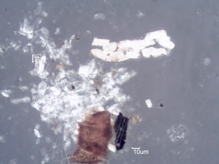 Woodstove Ash