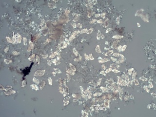 Woodstove Ash