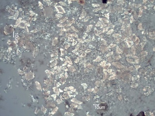 Woodstove Ash