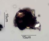 Asphalt Particle