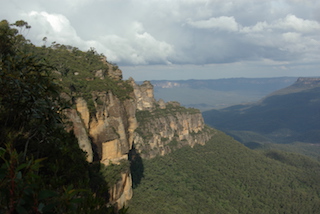 Mallee, Blue Mountains, Australia
