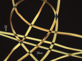 Bamboo Textile Fiber