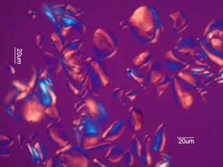 Banana Starch Under the Microscope