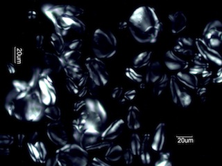 Banana Starch Under the Microscope