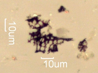 California Steppe Fire Particles