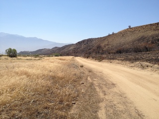 California Steppe Fire