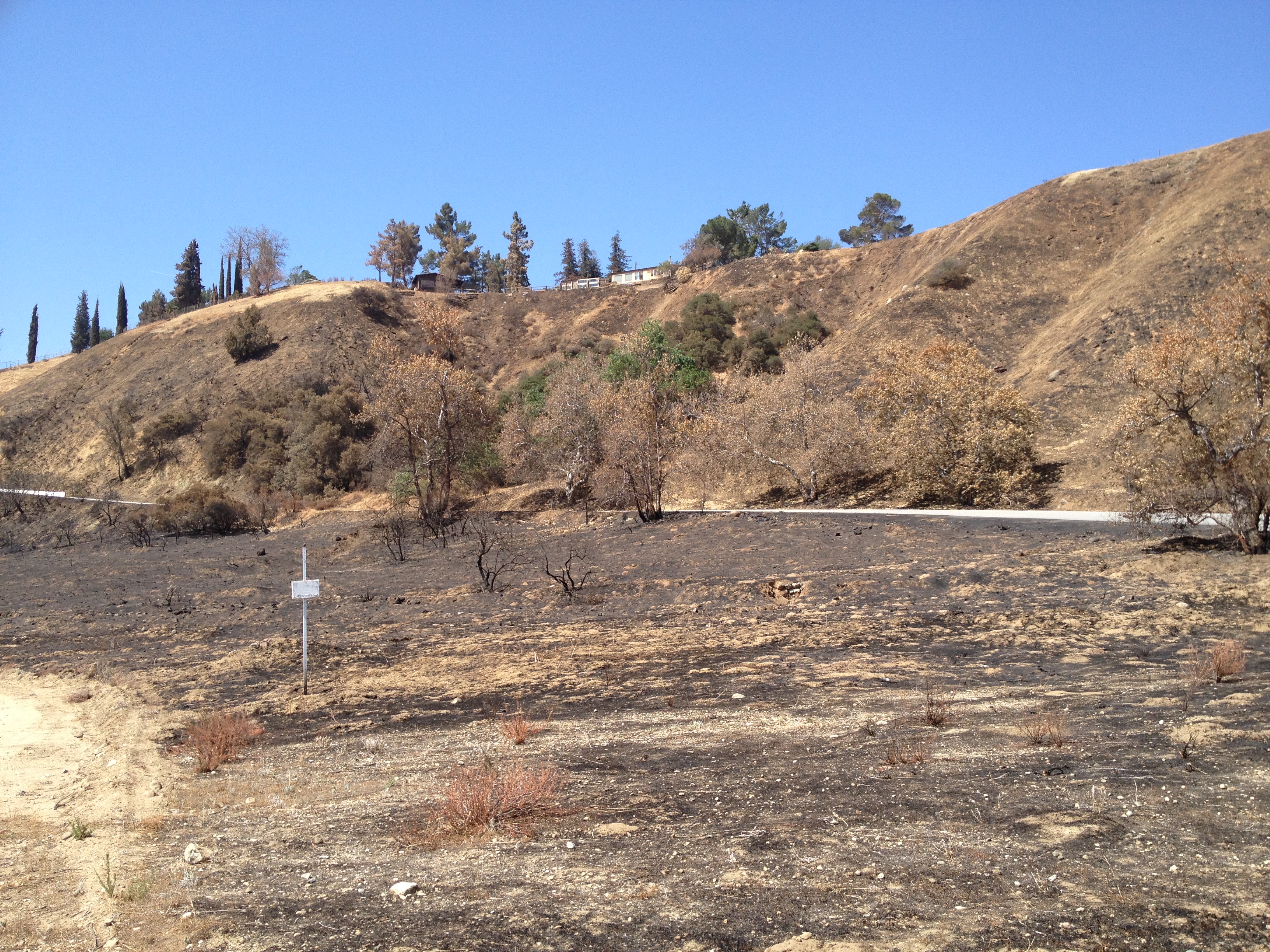 California Steppe Fire