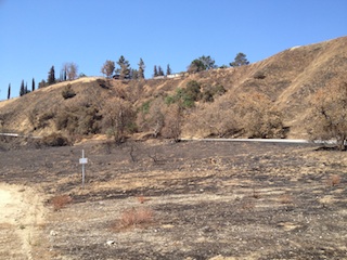 California Chaparral Fire