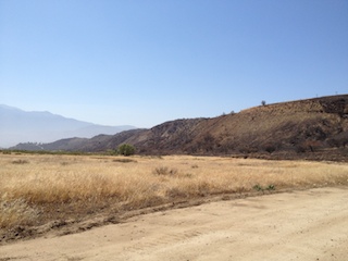 California Steppe Fire
