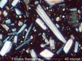 Fibrous Bassanite