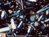 Fibrous Bassanite