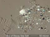 Bay of Biscay Sea Salt