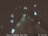 Bay of Biscay Sea Salt