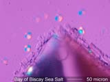 Bay of Biscay Sea Salt