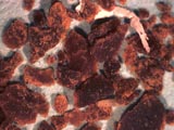 Honeybee Fecal Pellet