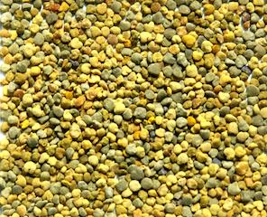 Bee Pollen