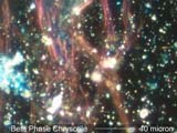 Chrysotile Asbestos