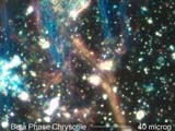 Chrysotile Asbestos