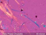 Chrysotile Asbestos