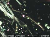 Chrysotile Asbestos