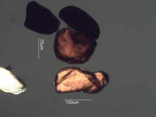 Rutile