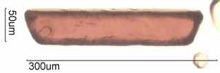Rutile