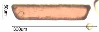Rutile